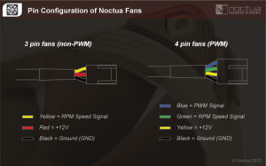  noctua