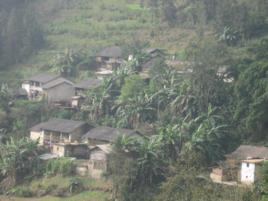 陳家寨村[雲南省元陽縣小新街鄉小新街村委會陳家寨村]