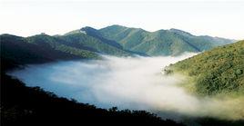 鳳凰山[山東省沂源縣鳳凰山]