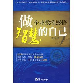 做智慧的自己企業教練感悟