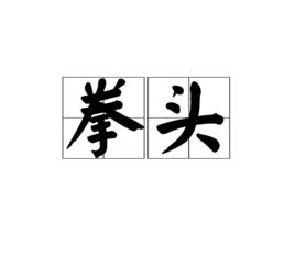 拳頭[漢語詞語]