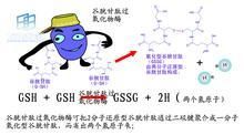 谷胱甘肽過氧化物酶