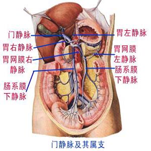 醫學常識