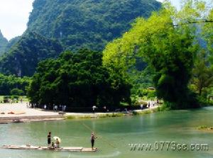 大榕樹月亮山