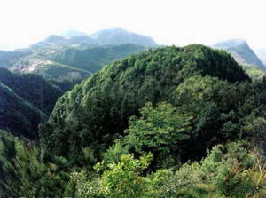 白馬山森林公園