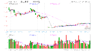 鼎立B股