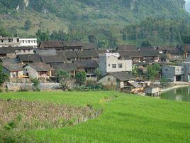 那良村[雲南省文山州富寧縣剝隘鎮下轄村]