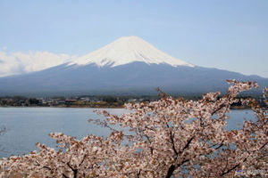 富士山與櫻花