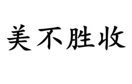 美不勝收[漢語成語]