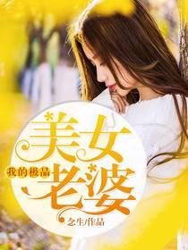 我的極品美女老婆[暗夜文學網小說]