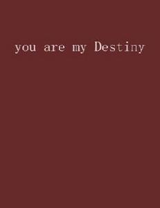 you are my Destiny