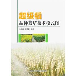 超級稻品種栽培技術模式圖