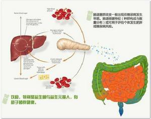 非酒精性脂肪性肝炎