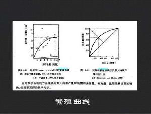 繁殖曲線