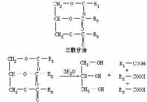 三醯甘油