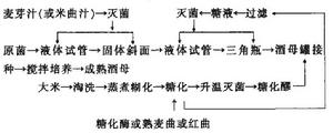 糖化酒母的製作工序