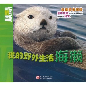 我的野外生活：海獺