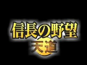 《信長之野望天道》