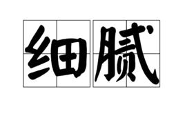 細膩[漢語詞語]