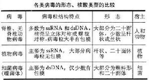 脊椎動物病毒