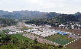 黃龍村[雲南省玉溪市通海縣秀山鎮下轄村]