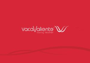 VACAVALIENTE