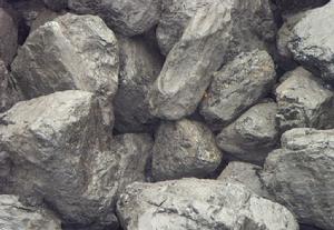 煤系地球化學相 煤系地球化學相