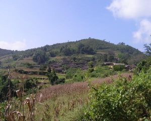 養馬廠自然村