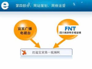 FNT-四川弗奈特網路整合行銷機構