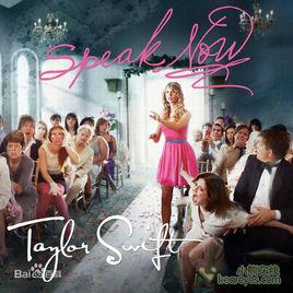 speak now[泰勒·斯威夫特演唱歌曲]