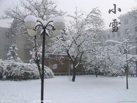 小雪[左河水的節氣詩]