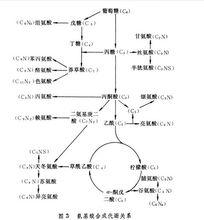 藥物生物合成定義