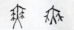 甲骨文中的舞字