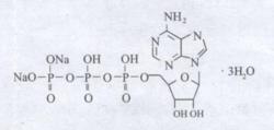 三磷酸腺苷二鈉片