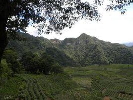 建國村[貴州黔東南苗族侗族自治州建國村]