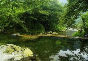 龍池坪森林公園