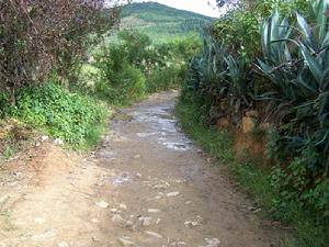 交邑自然村通村道路