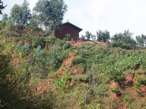 寇家山村-山林