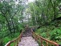 加格達奇國家森林公園