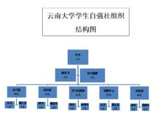 雲南大學學生自強社組織結構圖