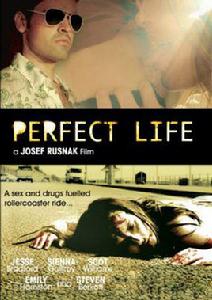 完美生活[2010年約瑟夫·魯斯納克執導美國和盧森堡電影]