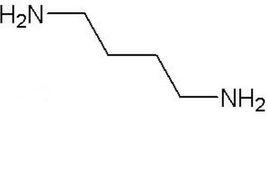 1，4-丁二胺