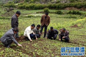 鹽倉鎮[上海市南匯縣下轄鎮]