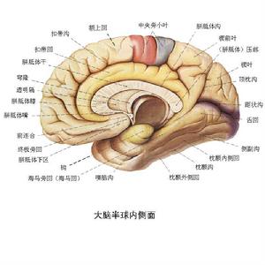 腦疲勞綜合症