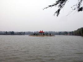 雙橋鄉[浙江衢州市衢江區雙橋鄉]