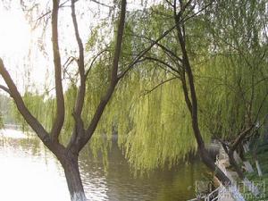 鳳山遊樂公園