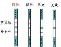 HIV試紙