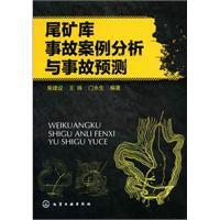 尾礦庫事故案例分析與事故預測