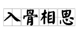 入骨相思[漢語詞語]