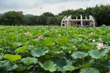 深圳市洪湖公園